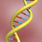 3d-portraits-dna-info