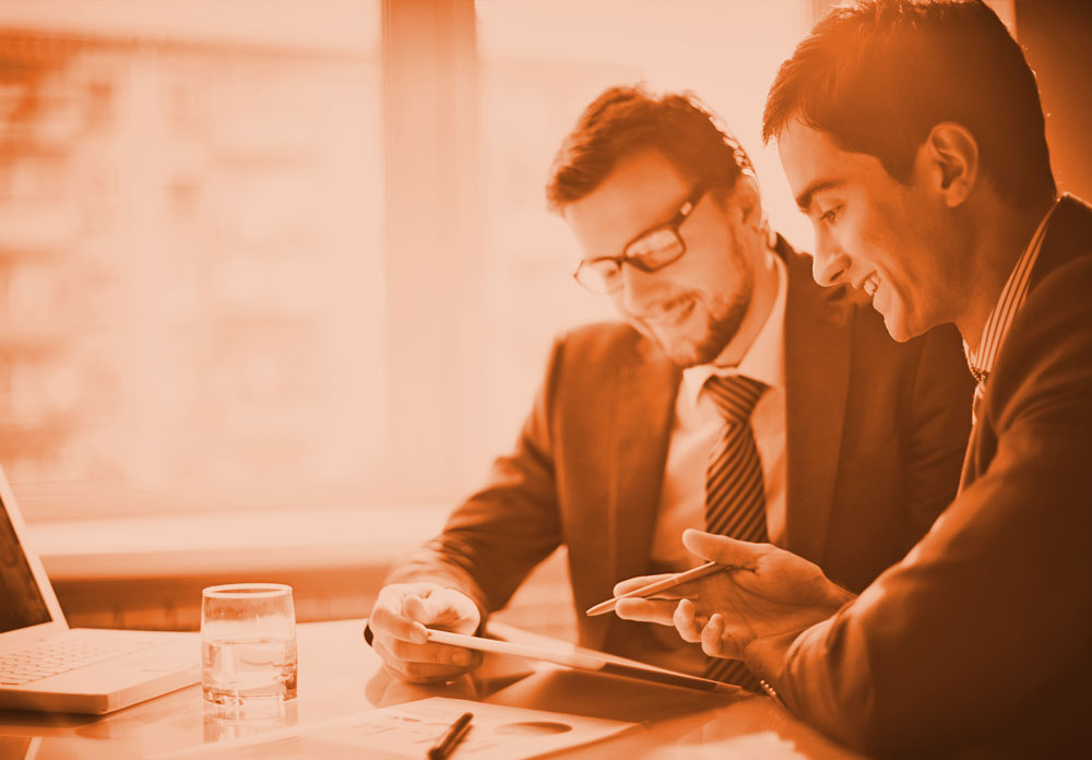 Project Consulting